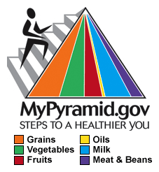 My Pyramid dot gov - Steps to a healthier you - orange: grains - green: vegetables - red: fruits - yellow: oils - blue: milk - purple: meat and beans