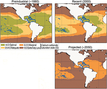 Three maps of the Americas that represent the preindustrial world (approximately 1880), the recent past (2000), and the projected future (approximately 2050).  The maps are shaded by varying levels of the calcium carbonate saturation state. The preindustrial maps shows a significant portion of the  area around the equator to have levels greater than 4.0, or optimal levels. Areas in northern and southern latitudes are the only areas that are shaded in the 'extremely low' saturation state color. In the 'recent' map, the majority of the areas that had been 'optimal' is shaded with 'marginal' or 'adequate' colors and the area shown as 'extremely low' is larger. In the projected map for 2050, the majority of the map is shaded as 'extremely low' calcium carbonate saturation state, with only some of the region around the equator reaching the 'marginal' category.