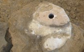 image shows the excavation of a large ammonite