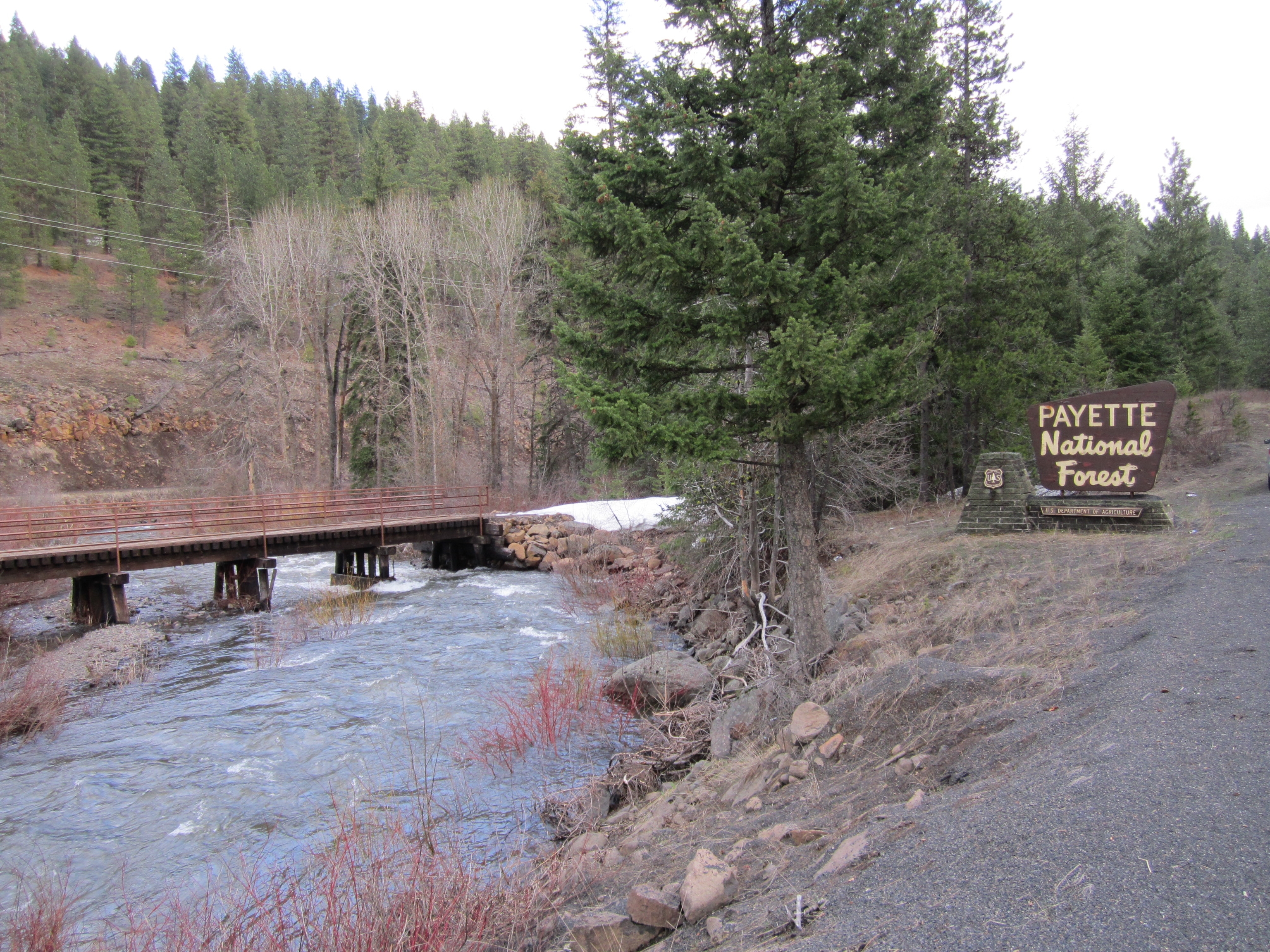 Forest entrance sign near river