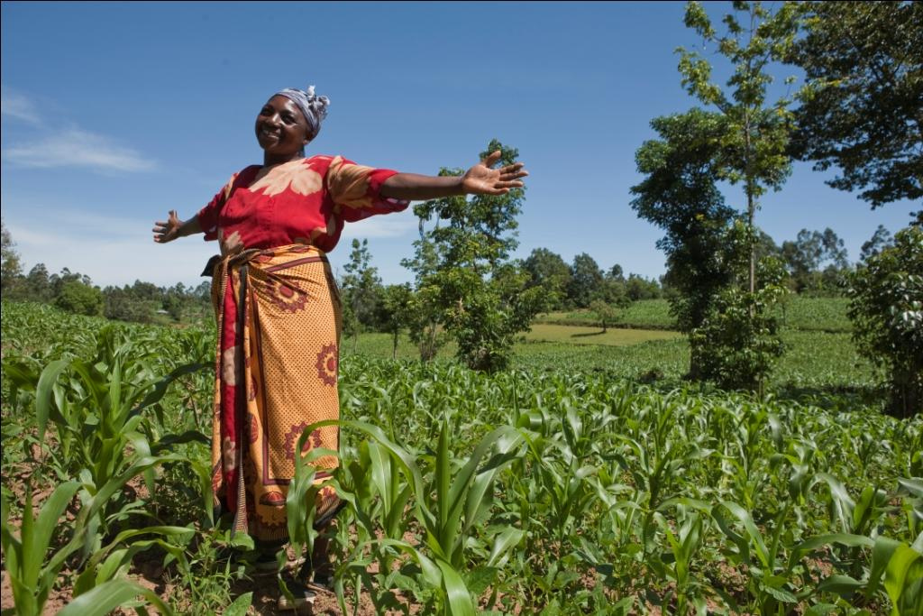 More to eat, more to sell for small farmers