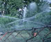 image of an irrigation system