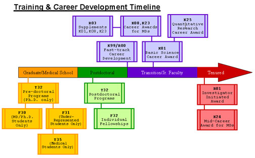 In this figure an arrow depicts a timeline for the advancement of an individual’s career from Graduate or Medical School, through a Postdoctoral position and Transition to Jr. Faculty and finally to a tenured position.  During the graduate or medical school, pre-doctoral programs are available for either the M.D. or the Ph.D. Postdoctoral training is handled by the same mechanism for the M.D. or Ph.D. while during the Transition to Jr. Faculty positions, different mechanisms are used.  Thus, the individual F30, F31, or F32 mechanisms or the institutional T32 or T35 mechanisms are utilized during the pre-doctoral stage or the post-doctoral stage.  The last two stages of the timeline relate to career development and employ numerous K mechanisms, the R01 and the transition award that incorporates a K99 and a R00. The transition award is designed to move the individual from a mentored position, supported by the K99, to a position of independence with a R00.