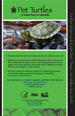 Turtle Safety Poster
