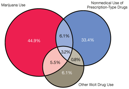 Chart showing rate of illicit drug use among older adults
