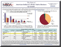 The State of American Indiran & Alaska Native Business by Gender