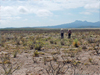 two ranchers on a drought-stricken field in Texas in 2011