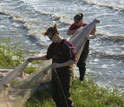 Photo of researchers Tara Duffy and Lora Clarke preparing a net for seining off South Carolina.