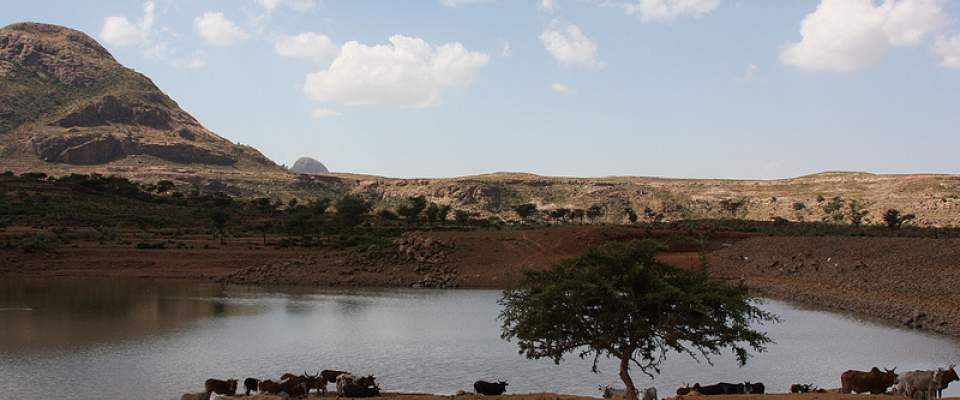 A water catchment area in a frequently drought-affected region of Ethiopia. Local communities benefiting from the government's P