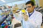 Rajit Sapar analyzes samples at the Joint BioEnergy Institute's lab. | Photo by Roy Kaltschmidt at Lawrence Berkeley National Lab.