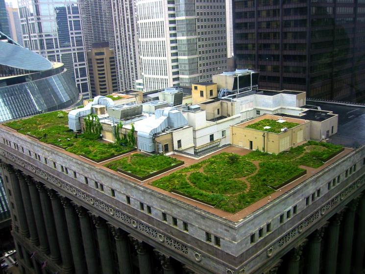 The roof of the 12-story Chicago City Hall building has been retrofitted with a 22,000 square-foot rooftop garden to reduce urban air temperature. | Credit: Katrin Scholz-Barth