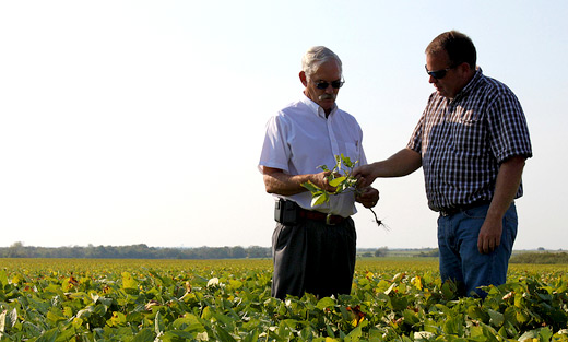USDA Undersecretary Michael Scuse and Cass County FSA committeeman and farmer Trent Smith discuss the drought's impact on this year's soybean crop.
