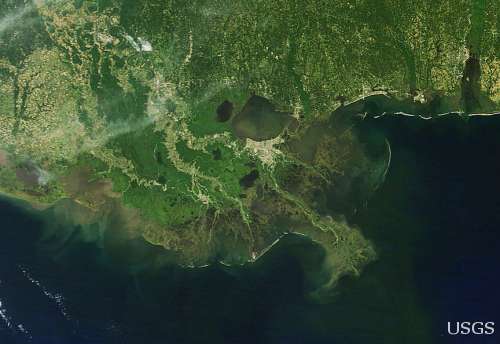 Dead Zone: The Source of the Gulf of Mexico’s Hypoxia