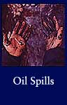 Oil Spill (ARC ID 546890)