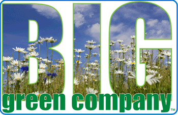 Big Green Company logo featuring the word BIG over a picture of a field of daisies