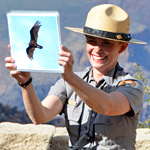park ranger holding up condor photo