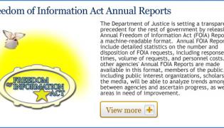 Freedom of Information Act Annual Reports - Fiscal Year 2008