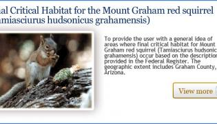 Final Critical habitat for the Mount Graham red squirrel