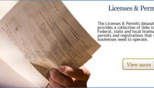 Business Licenses and Permits Search