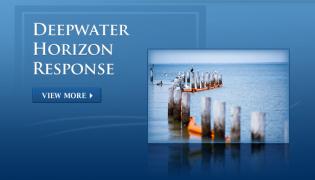 Deepwater Horizon Response