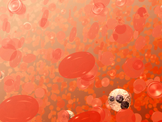 Illustration of a field of red blood cells, including platelets.
