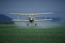 Photograph of an airplane spraying pesticide on a field