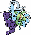 BAC character being washed off a bunch of grapes