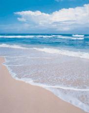 Photograph of the sand, ocean and sky