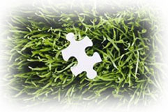 Grass with puzzle piece