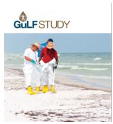 Gulf Study
