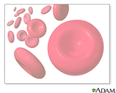 Illustration of red blood cells