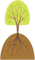 image of tree and root system