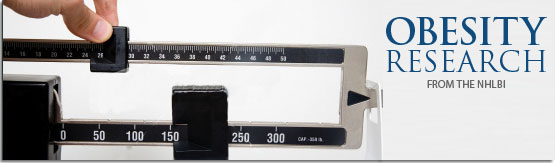 graphic banner of a weight scale