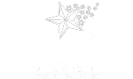 Entertainment Industry Foundation