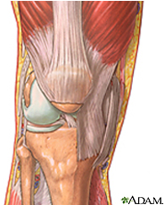 Anatomía de una rodilla normal: MedlinePlus enciclopedia médica illustración