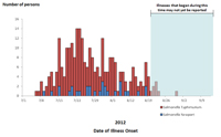 Persons infected with the outbreak strains of Salmonella Typhimurium and Salmonella Newport, by date of illness onset