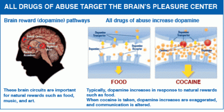 All drugs of abuse target the brain's reward system by flooding the circuit with the chemical dopamine.