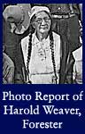 Photo Report of Harold Weaver, Forester (ARC ID 298703)