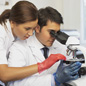 Photo: Lab workers looking into microsope