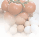 tomatoes and eggs