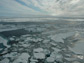 image of Arctic sea ice
