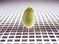 Illustration of a soybean above a grid.