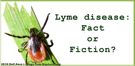 Image: tick, Lyme disease: Fact or Fiction