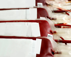 Copyrighted photo of two pints of blood stored in bags.