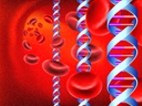 Illustration of DNA and blood cells.