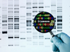 Image of a gene scan for heart risk.