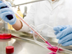 Photo of researchers working on test tubes.