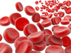 image of  red blood cells illustration 