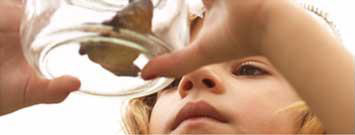 Photo: Girl looking in jar