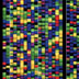 colorful representation of DNA building blocks